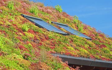 Norton Lindsey living roof systems