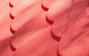 Norton Lindsey plastic roof costs